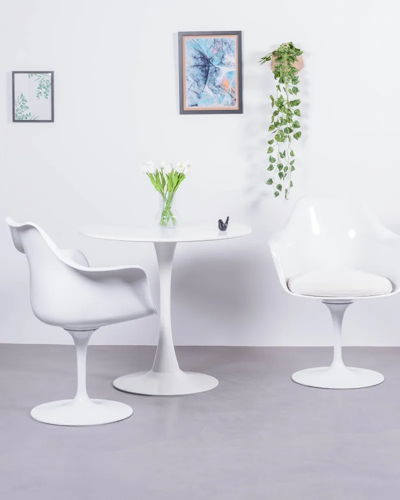 Tulip Arms chair with arms for dining room | 5 year warranty with Nest Dream