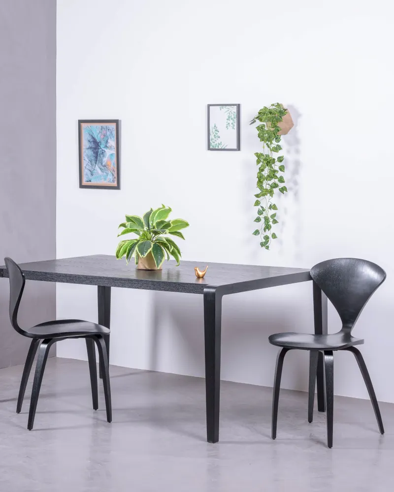 Cherner Scandinavian dining chair in walnut | Free Shipping
