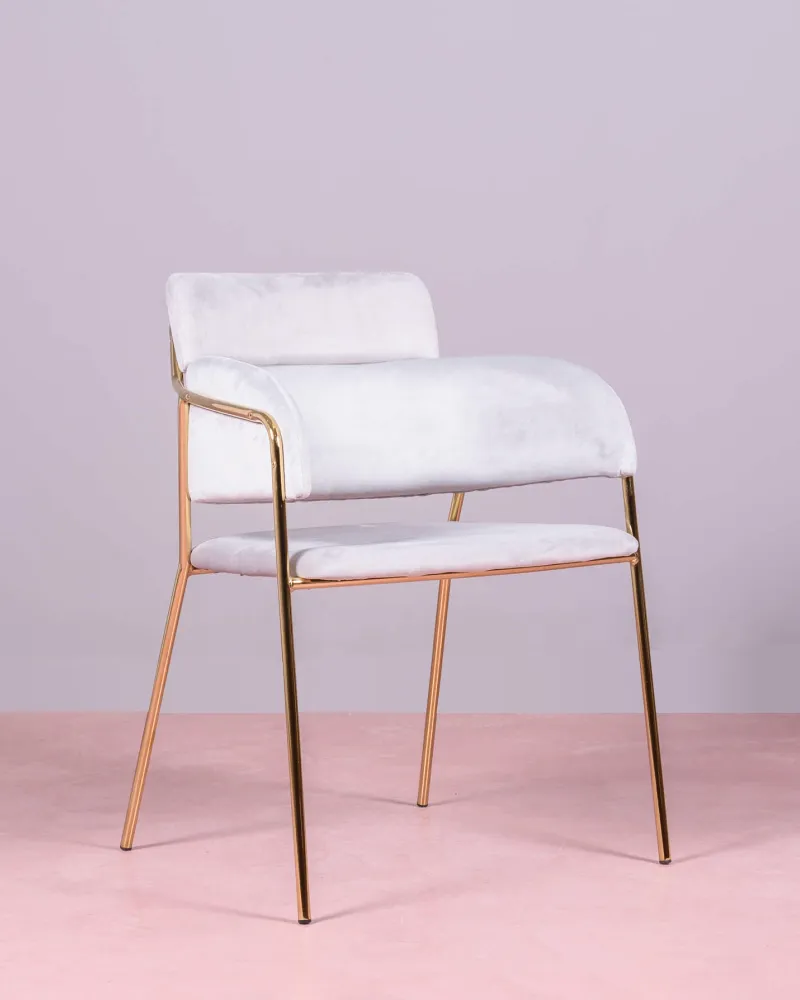 Cruiser chair upholstered in velvet with golden legs | Nest Dream