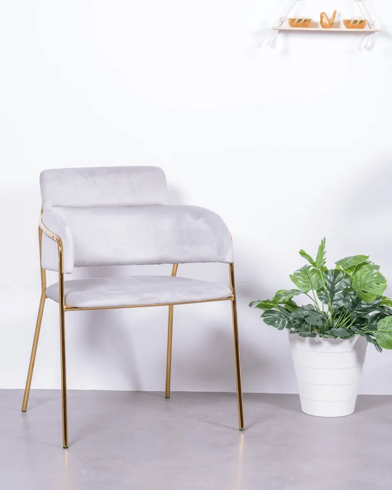 Cruiser chair upholstered in velvet with golden legs | Nest Dream