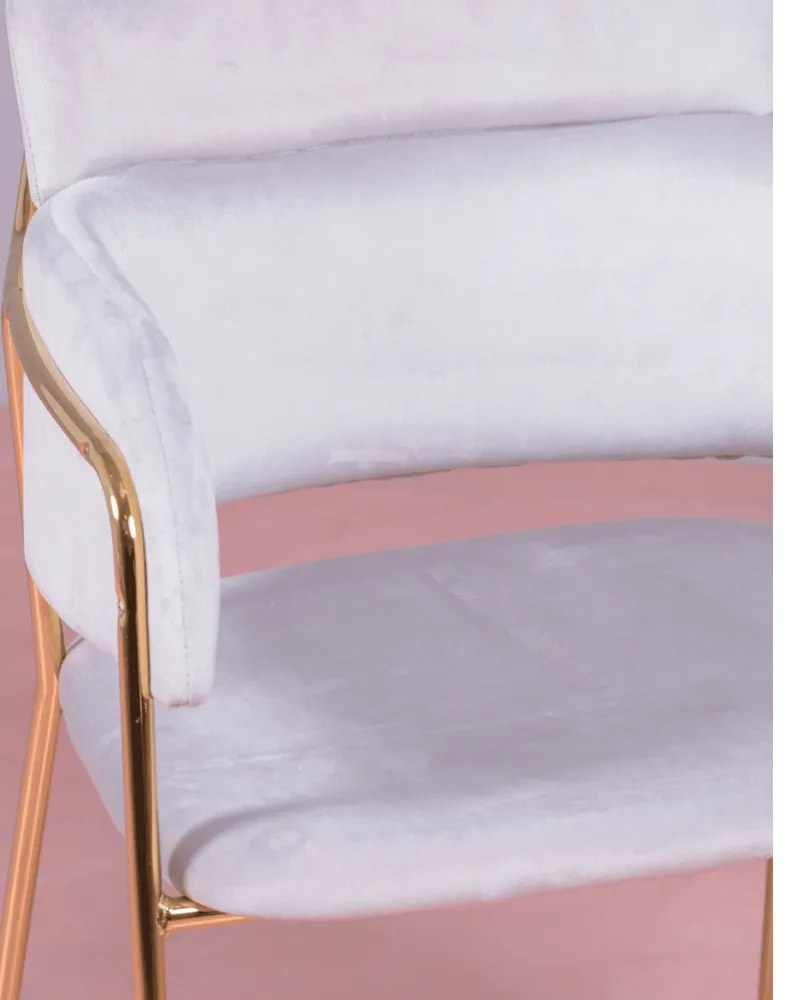 Cruiser chair upholstered in velvet with golden legs | Nest Dream