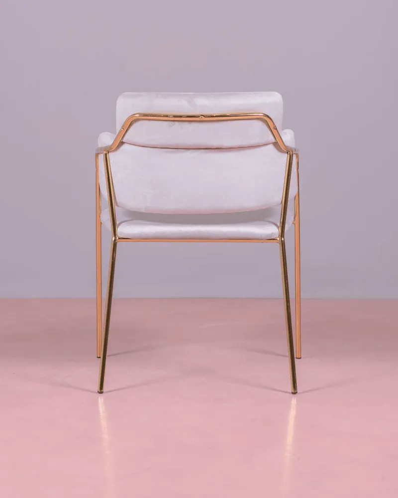 Cruiser chair upholstered in velvet with golden legs | Nest Dream