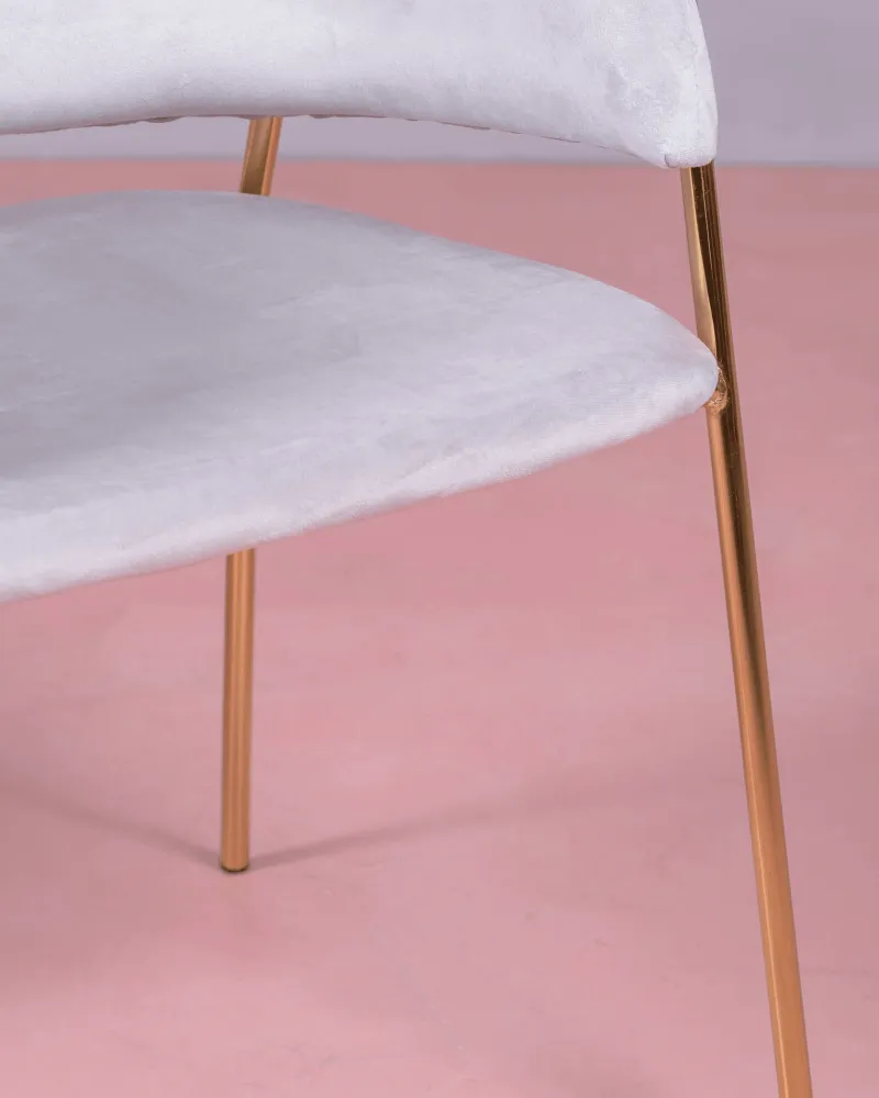 Cruiser chair upholstered in velvet with golden legs | Nest Dream