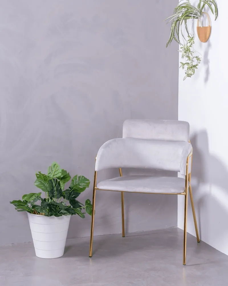 Cruiser chair upholstered in velvet with golden legs | Nest Dream