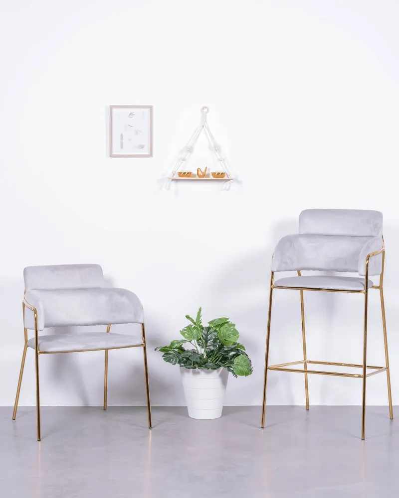Cruiser chair upholstered in velvet with golden legs | Nest Dream
