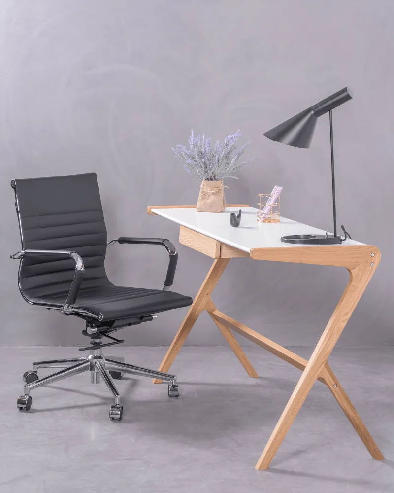 Low Back Reclining Desk Chair | Nest Dream Store