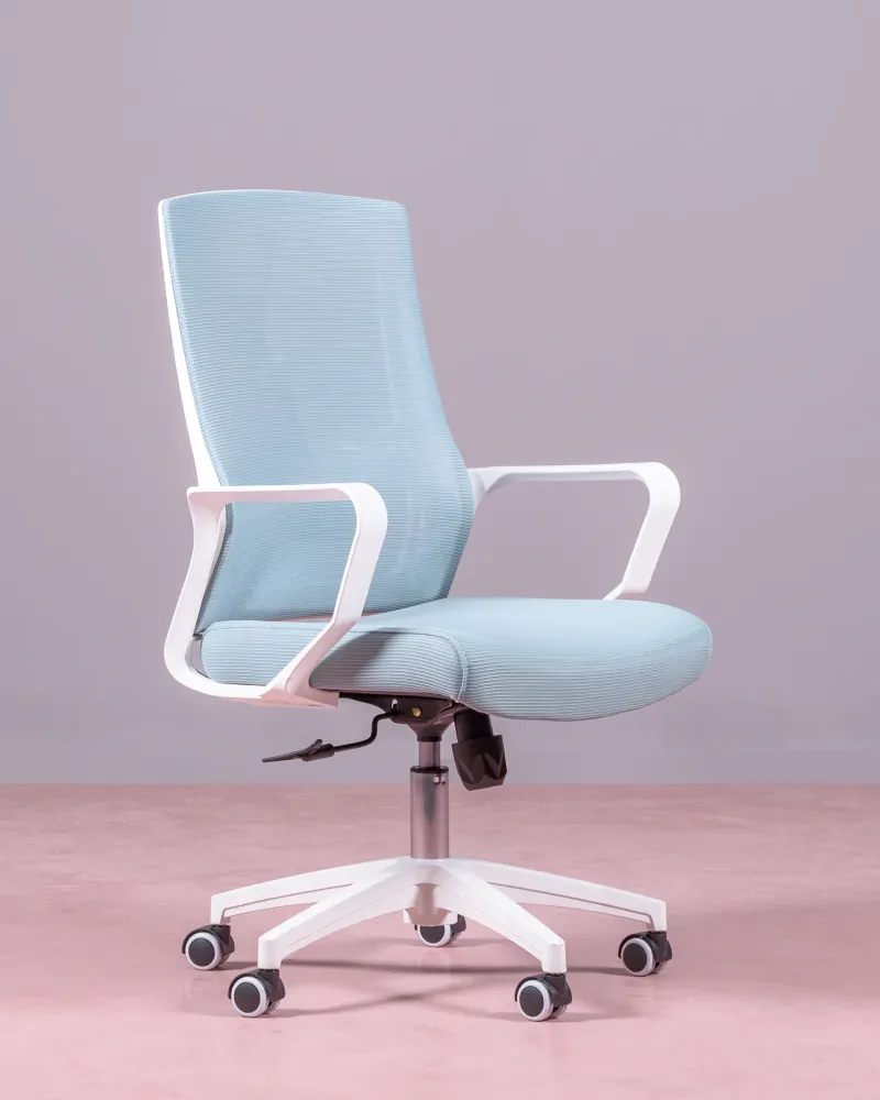 Mesh Ergonomic Office Chair | 5 year warranty with Nest Dream