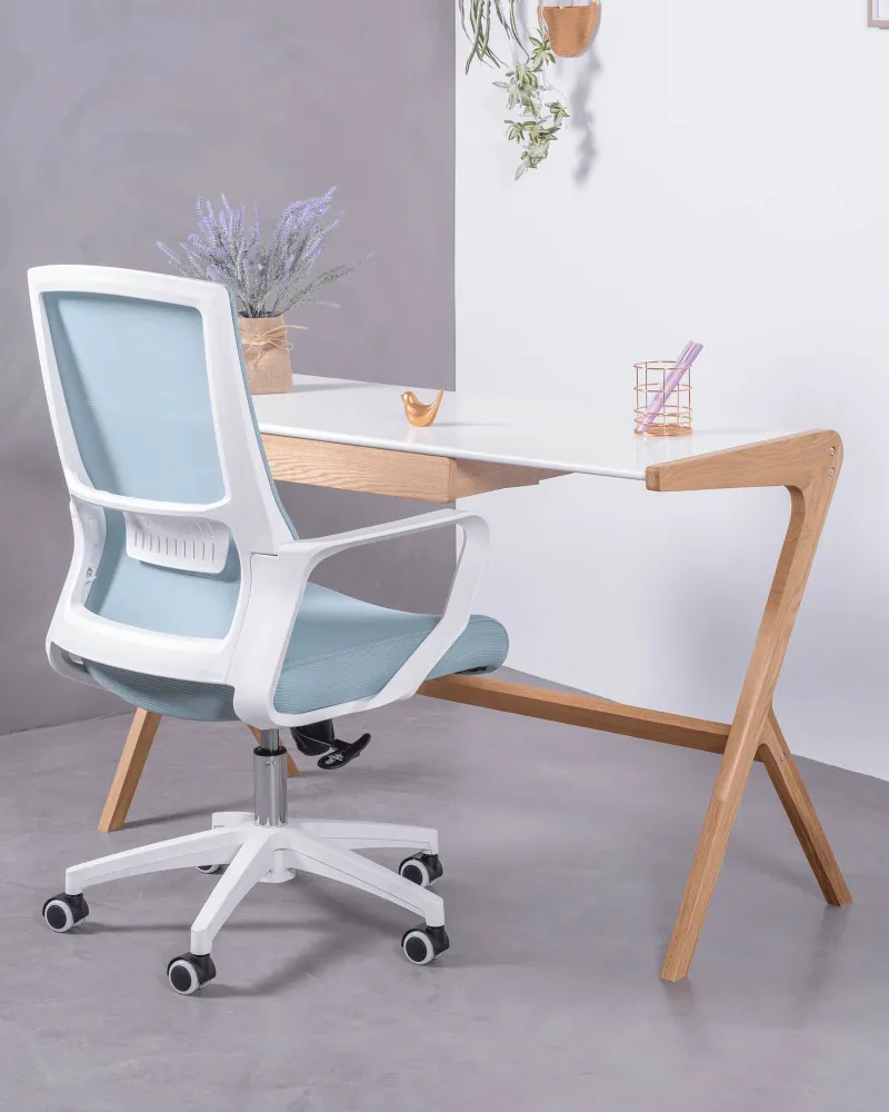 Mesh Ergonomic Office Chair | 5 year warranty with Nest Dream