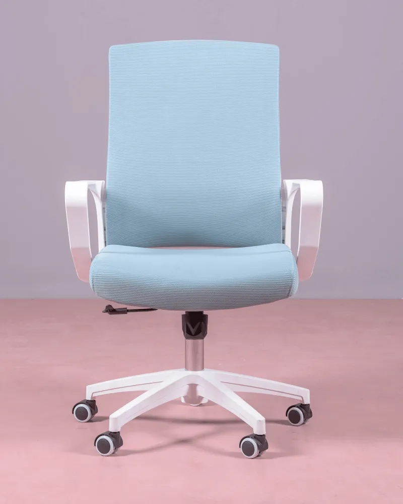 Mesh Ergonomic Office Chair | 5 year warranty with Nest Dream