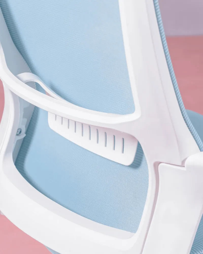 Mesh Ergonomic Office Chair | 5 year warranty with Nest Dream
