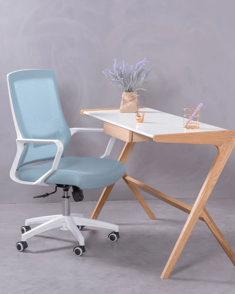 Mesh Ergonomic Office Chair | 5 year warranty with Nest Dream