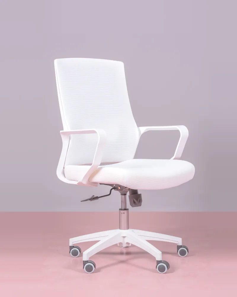 Mesh Ergonomic Office Chair | 5 year warranty with Nest Dream
