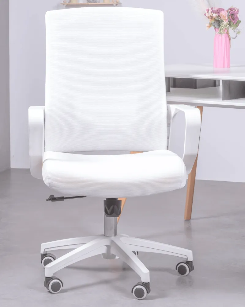 Mesh Ergonomic Office Chair | 5 year warranty with Nest Dream