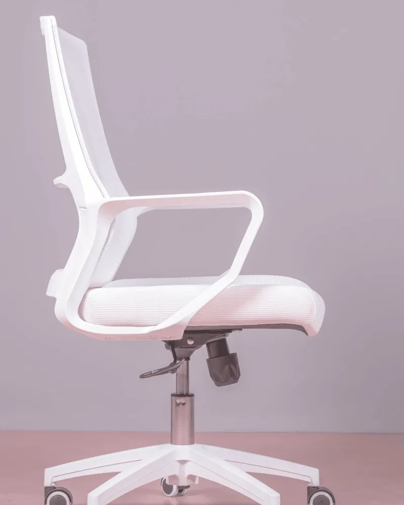 Mesh Ergonomic Office Chair | 5 year warranty with Nest Dream