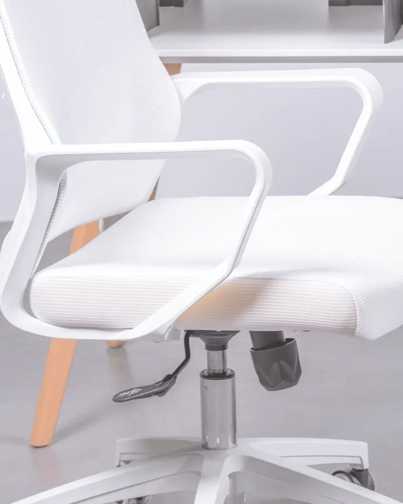 Mesh Ergonomic Office Chair | 5 year warranty with Nest Dream